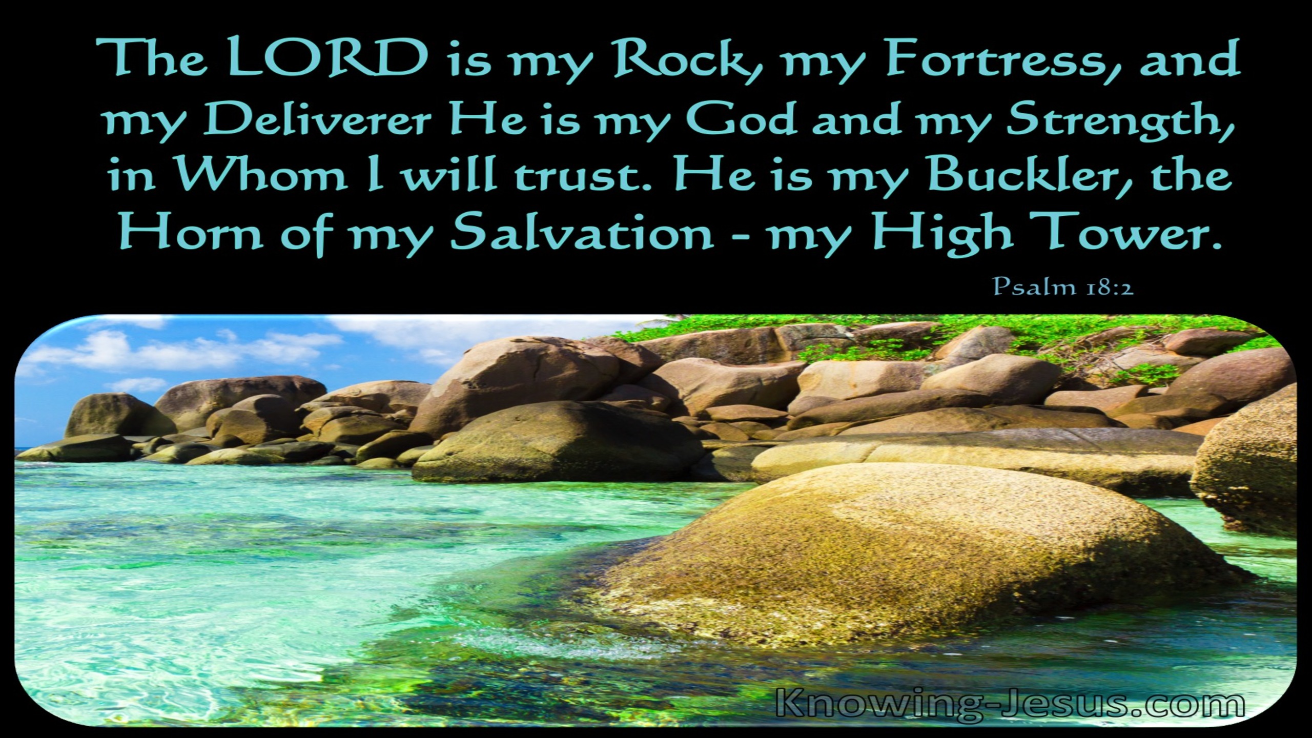 Psalm 18:2 The Lord Is My Rock (black)